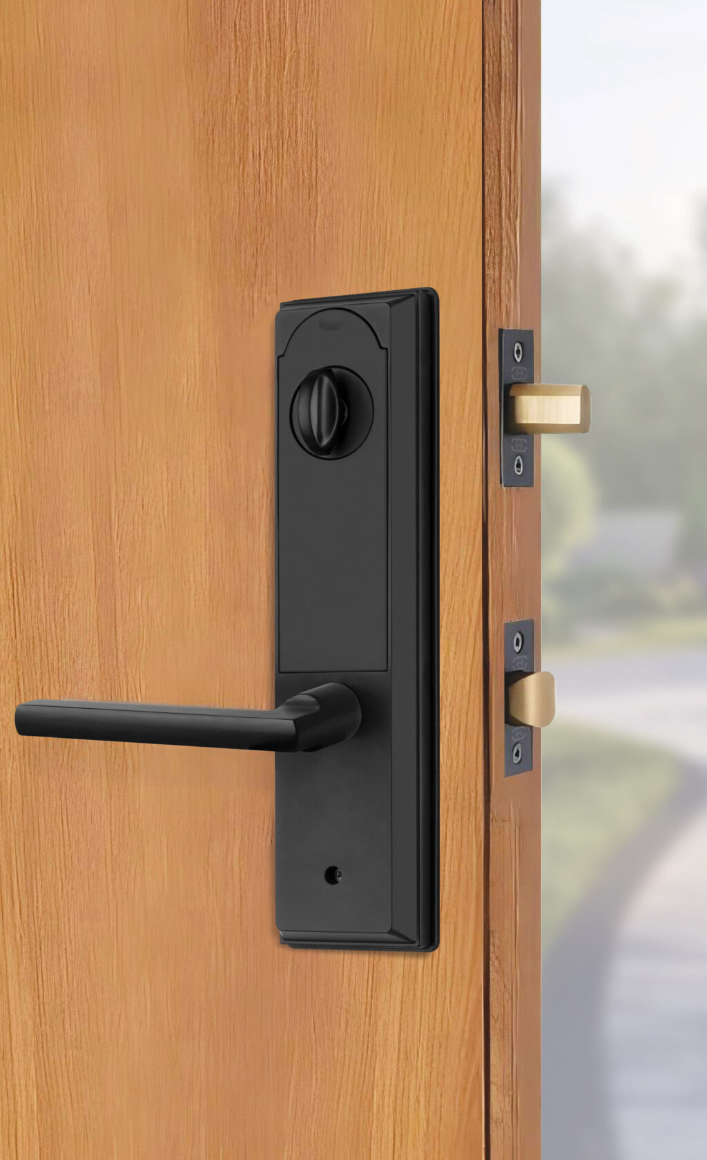Item No.8669 Lifestyle Image Interior Trim (BL Matte Black)